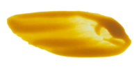 Transparent Yellow Oxide